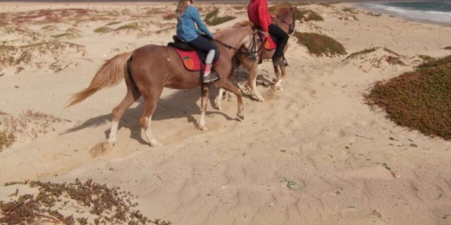 Horseback riding in Boavista for beginners - Is $81 Good Value?