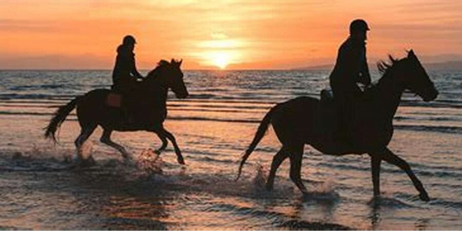 Horseback riding in Boavista for beginners - Languages, Payment, and Cancellation