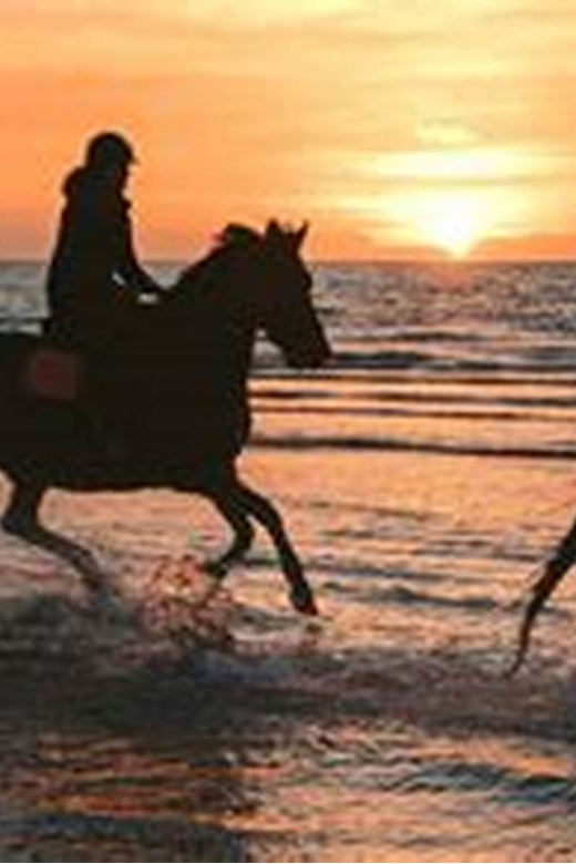 Horseback riding in Boavista for beginners - The Safety Briefing Comes Before the Scenery