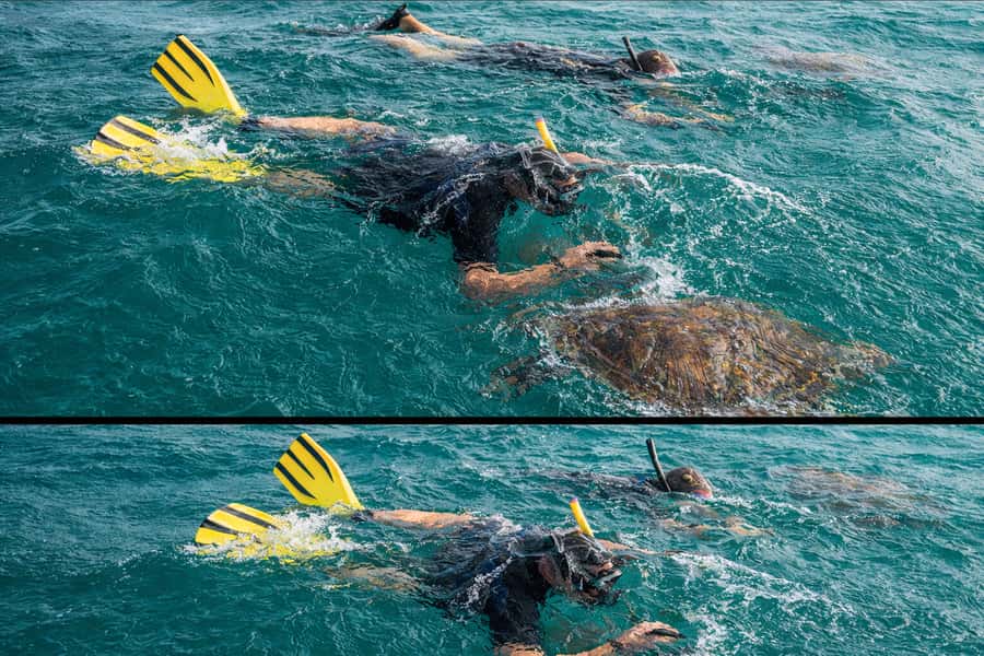 Ilha Do Sal: Snorkeling with Local Guide - What to pack for the 90 minutes