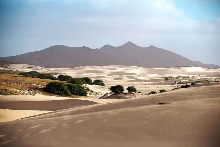Island tour & cattle & Taste local flavors - Should you book the Boa Vista countryside tour?
