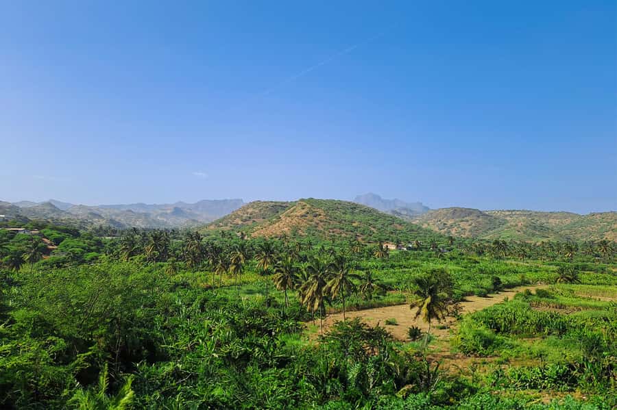 Island tour with German-speaking guide for cruise guests - Santa Cruz District, walking and scenic views