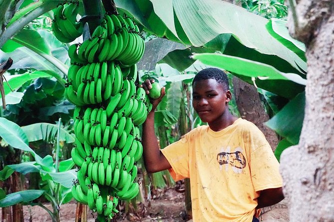 Like Locals: Banana Plantation, and Cuscuz with locals - Key points to know