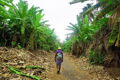 Like Locals: Banana Plantation, and Cuscuz with locals