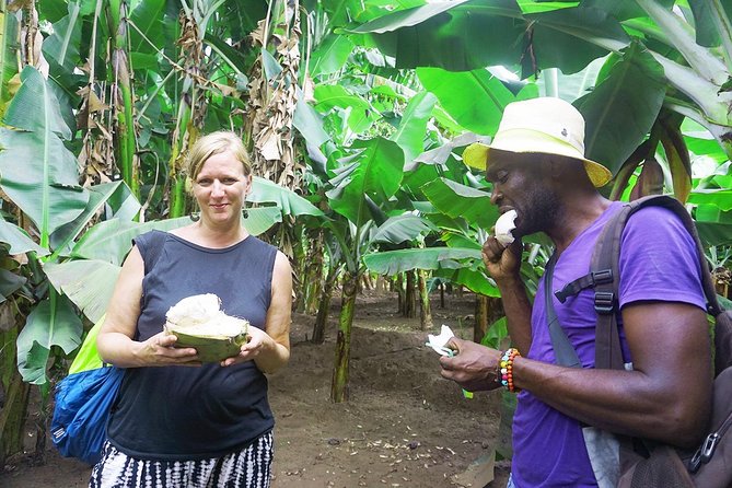 Like Locals: Banana Plantation, and Cuscuz with locals - The guide and the language question