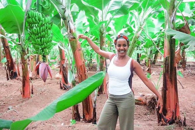 Like Locals: Banana Plantation, and Cuscuz with locals - The return through rocks and valleys