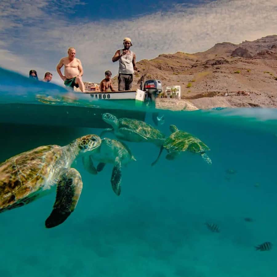 Live Snorkeling & Swimming with Sea Turtles in the Atlantic - Swimming beside the Carreta turtles