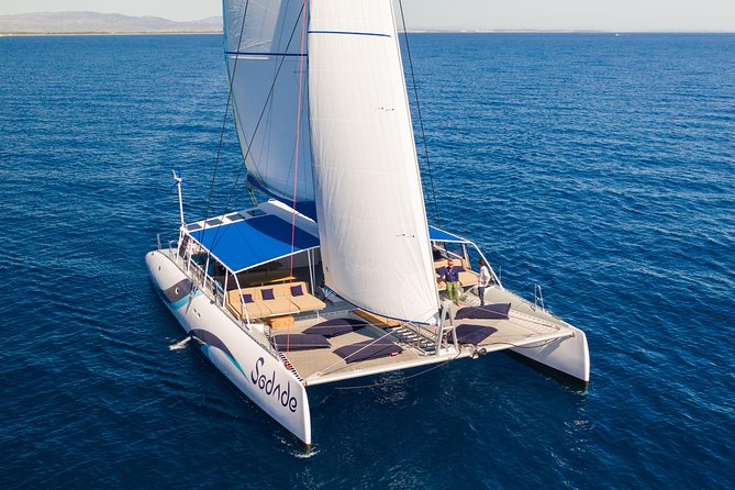 Lounge Catamaran SODADE Half-Day (Adults Only) - Food, drinks, and the return-trip party