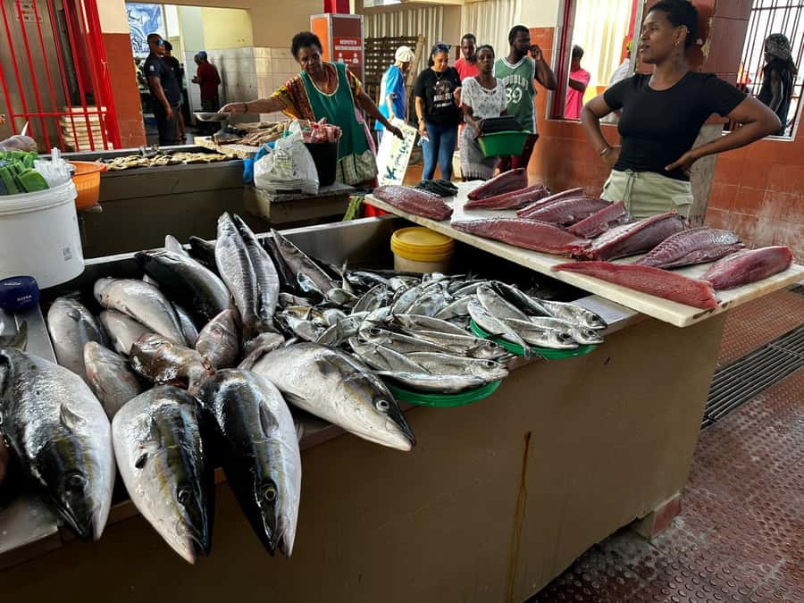 Mindelo: City Tour with Hotel Pickup and Drop-Off - Key points to know before booking