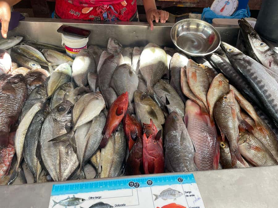 Mindelo City Walking Tour - The guide makes the difference
