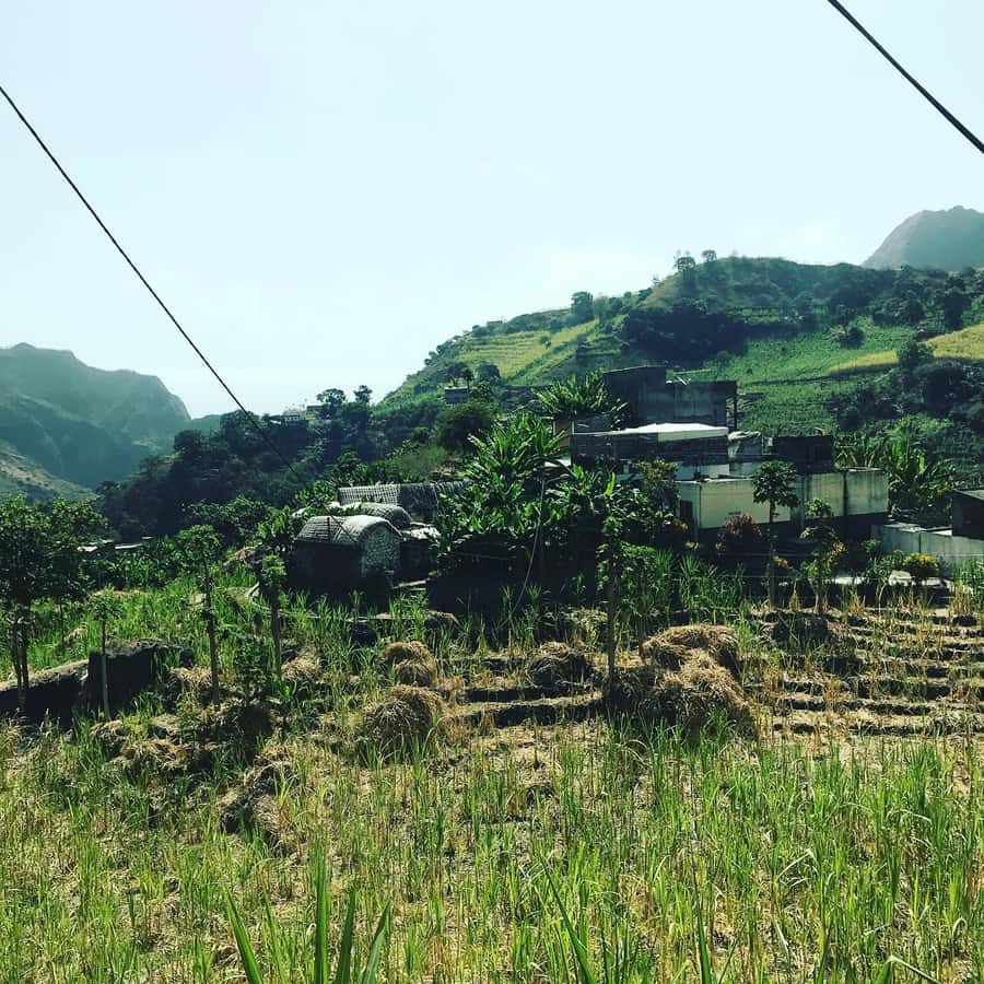 Paúl hike, the green garden - Fruit trees, sugar cane and the valley’s green side