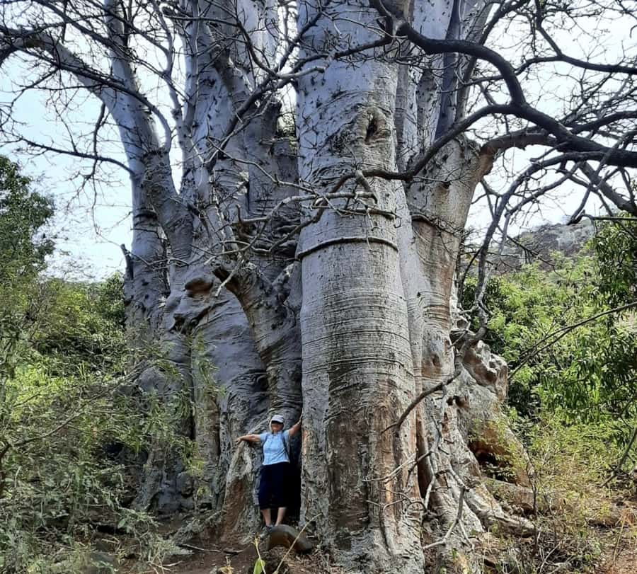 Praia: Baobab Mysterious Tree, Green Valley & Old City Hike - The downhill trail through working farms