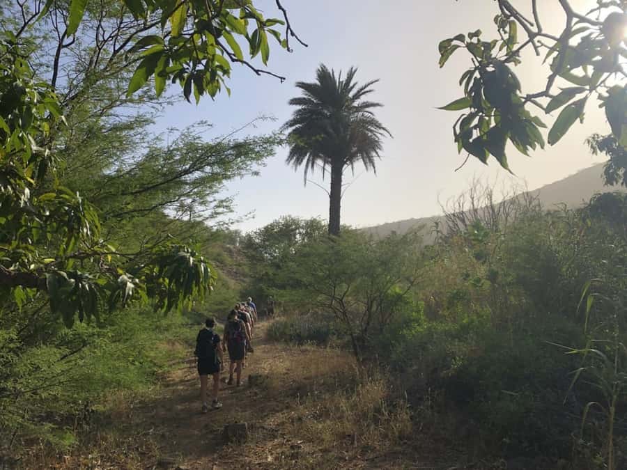 Praia: Baobab Mysterious Tree, Green Valley & Old City Hike - Is $53 a fair price?