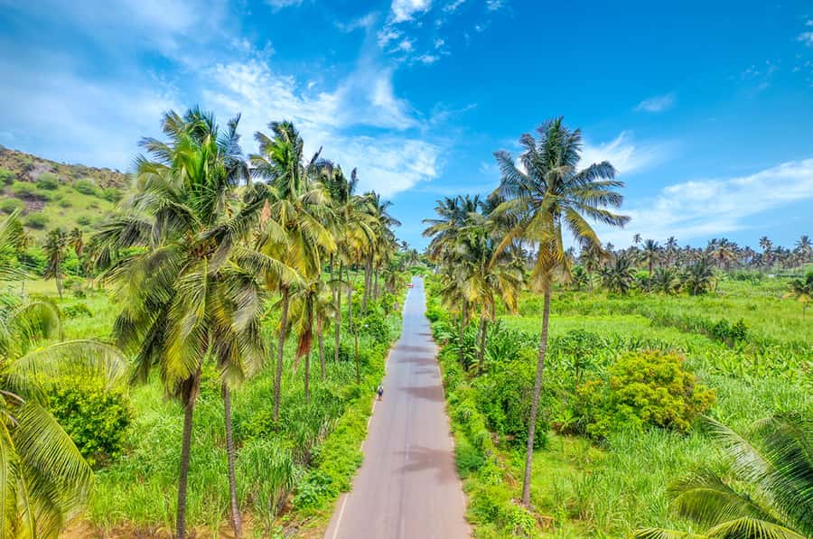 Praia: Day trip by minibus for cruise passengers - Key points at a glance