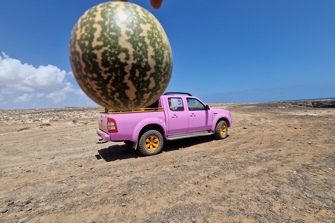 Private Creative Pictures Full Day Island Tour (Off Road inc.) - Shark Bay and Pedra de Lume’s salt story