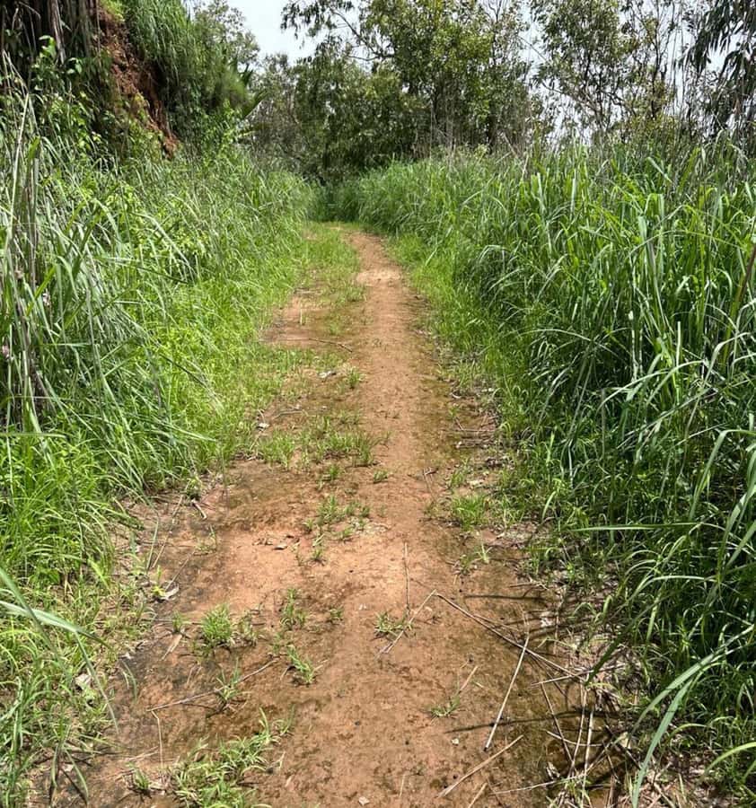 Private Hike through mountains and distant rural villages - Languages, timing, and practical planning