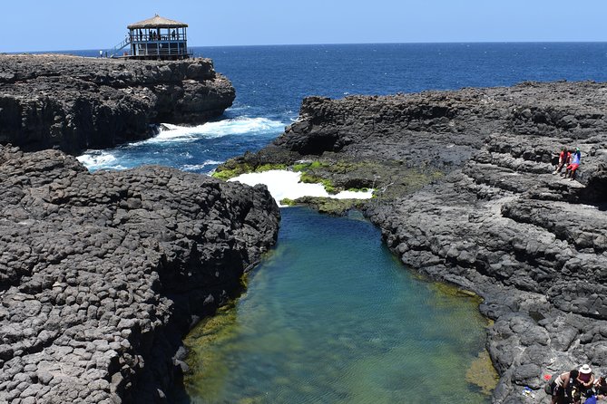 Private Sal Island Tour Authentic Experience from Santa Maria - Palmeira, a working fishing port