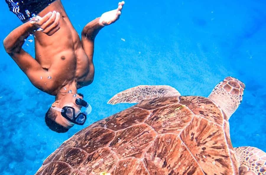 Private Snorkel Experience with Sea Turtle for Cruisers - Meeting Your Guide at the Port of Mindelo