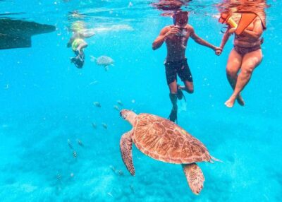 Private Snorkel Experience with Sea Turtle for Cruisers