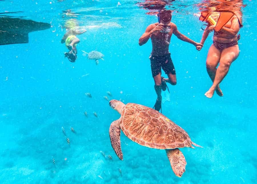 Private Snorkel Experience with Sea Turtle for Cruisers - São Pedro and the Short Ride to the Turtle Site