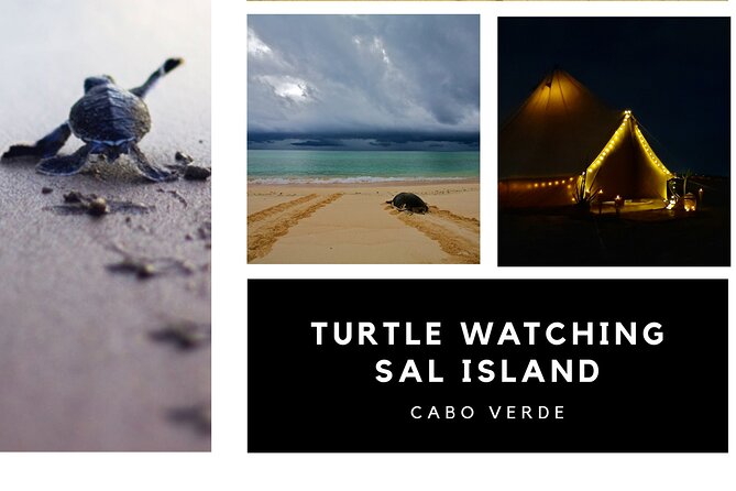 Private Turtle Watching Experience - The glamping tent is more than decoration