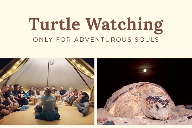 Private Turtle Watching Experience - Conservation gives the price more weight