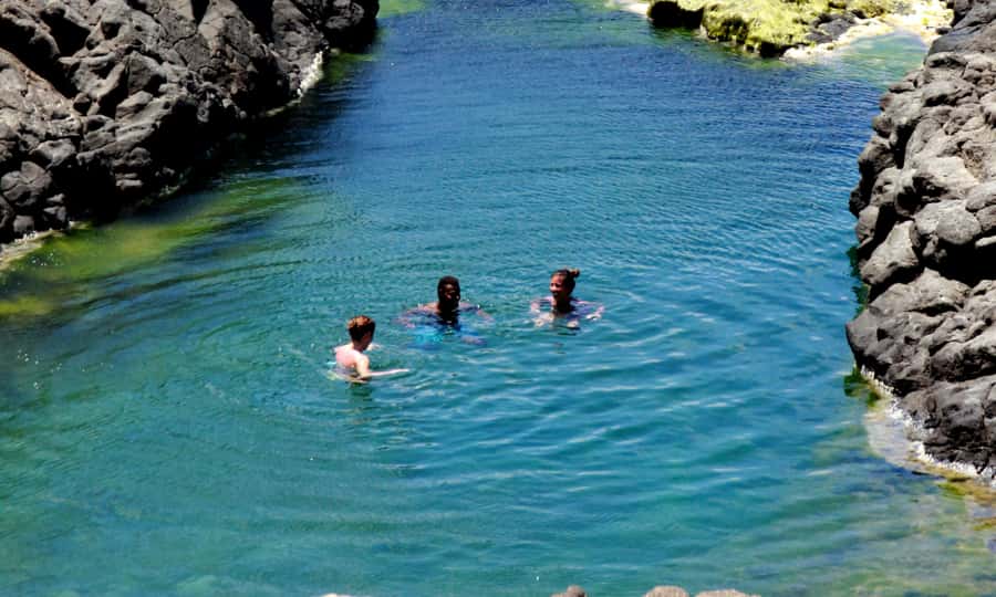 Sal: All inclusive Salt Lake, Natural pools and Shark Bay - Why this short Sal tour works