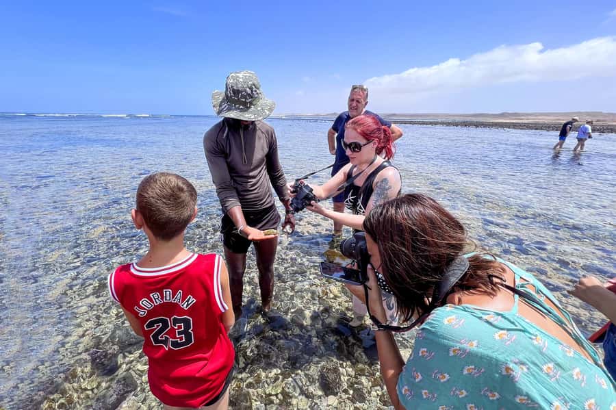 Sal Discovery: A Guided Small Group Island Tour - What the $51 price really covers