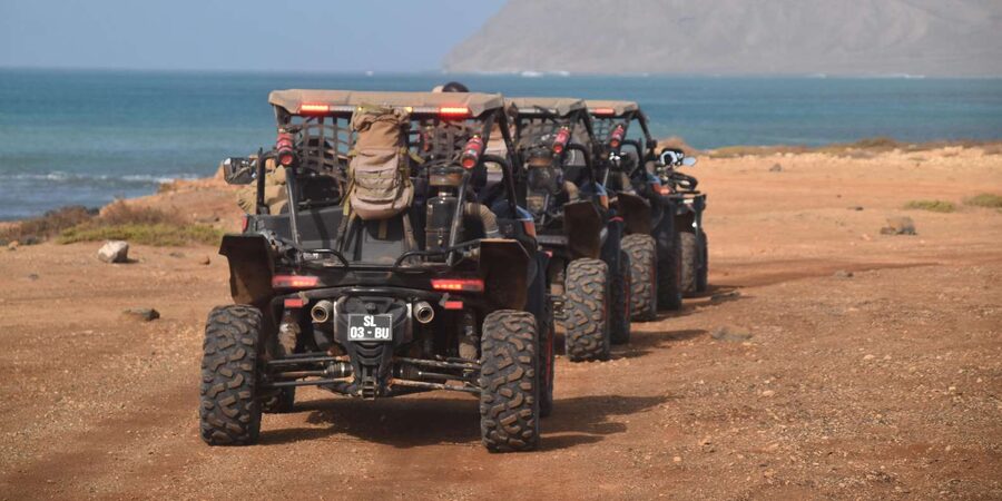 Sal Island: 4-Hour Buggy Island Tour - Language, pickup, and small details that matter