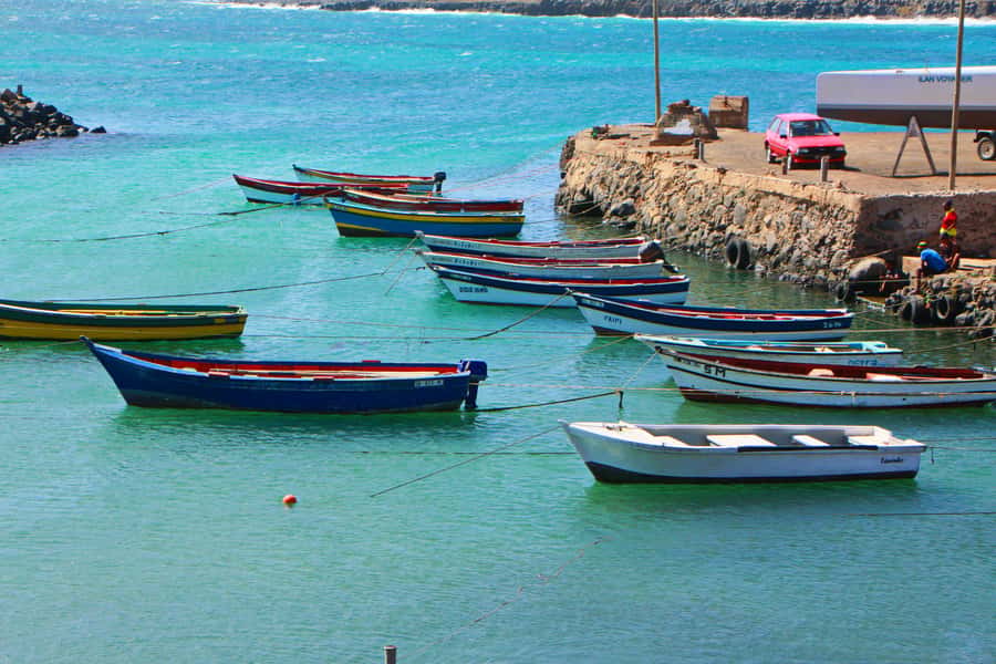 Sal island : Full day excursion Salinas, Shark Bay, Blue Eye - Five things to know before you go