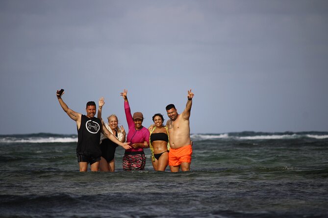 Sal Island, Salinas, Buracona and lemon shark - Why this Sal Island circuit works well