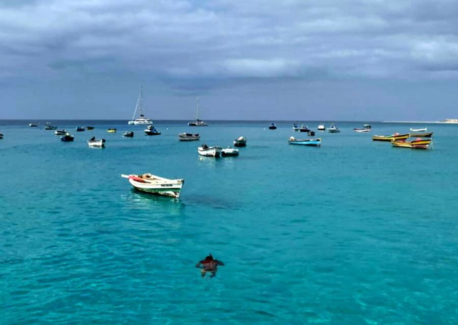 Sal island: Santa Maria city tour, street art and tapas - A practical introduction to Santa Maria’s bars and restaurants