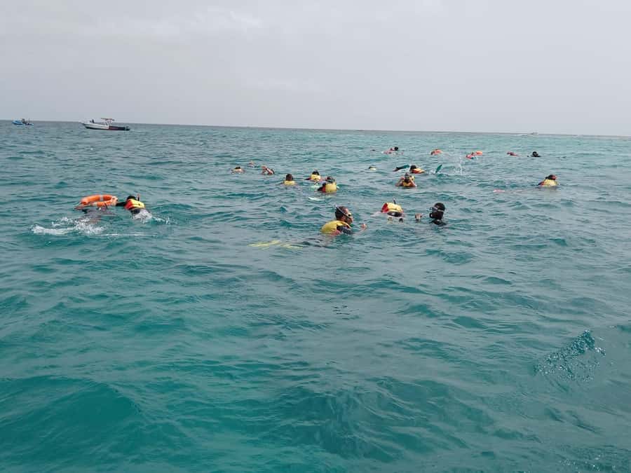 Sal Island: Santa Maria Snorkelling - The Bolama Wreck and its fish