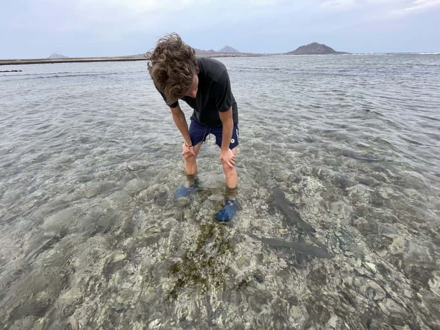 Sal: Lemon Shark Bay and Pedra de Lume Salt Lakes Tour - Pedra de Lume and the salt lake float