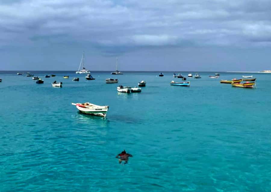 Sal: Private Tour Secrets of a native guide All-inclusive - Why this private Sal tour works well