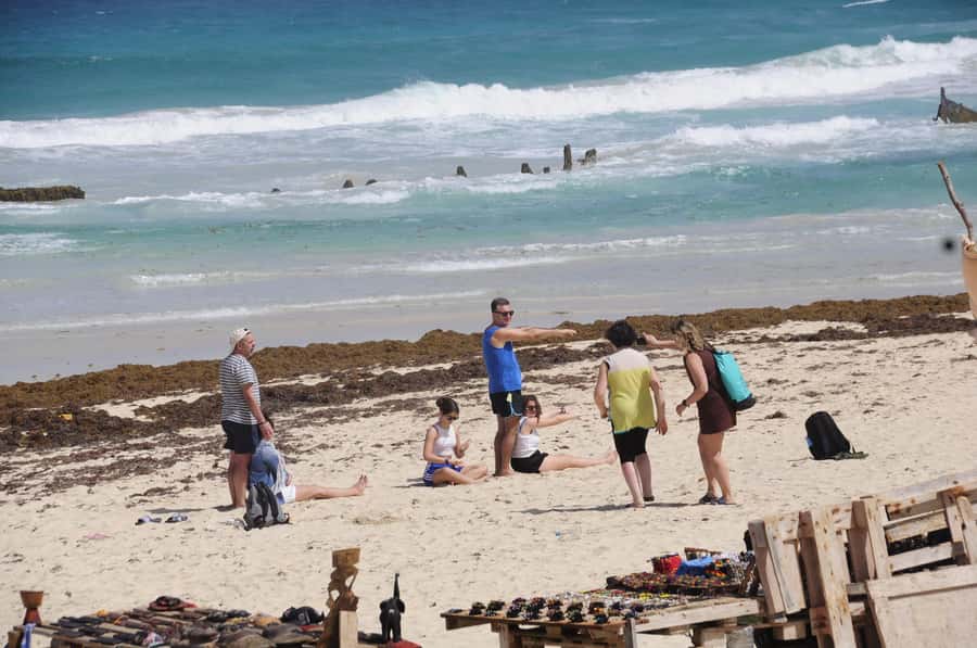 Sal Rei: Boa Vista Island Full-Day North to South Discovery - Why this full-day Boa Vista tour works
