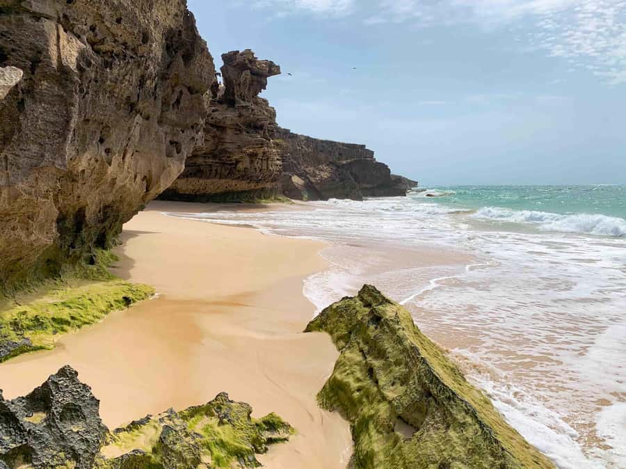 Sal Rei: Boa Vista Island Full-Day North to South Discovery - Santa Monica Beach: the main swim stop