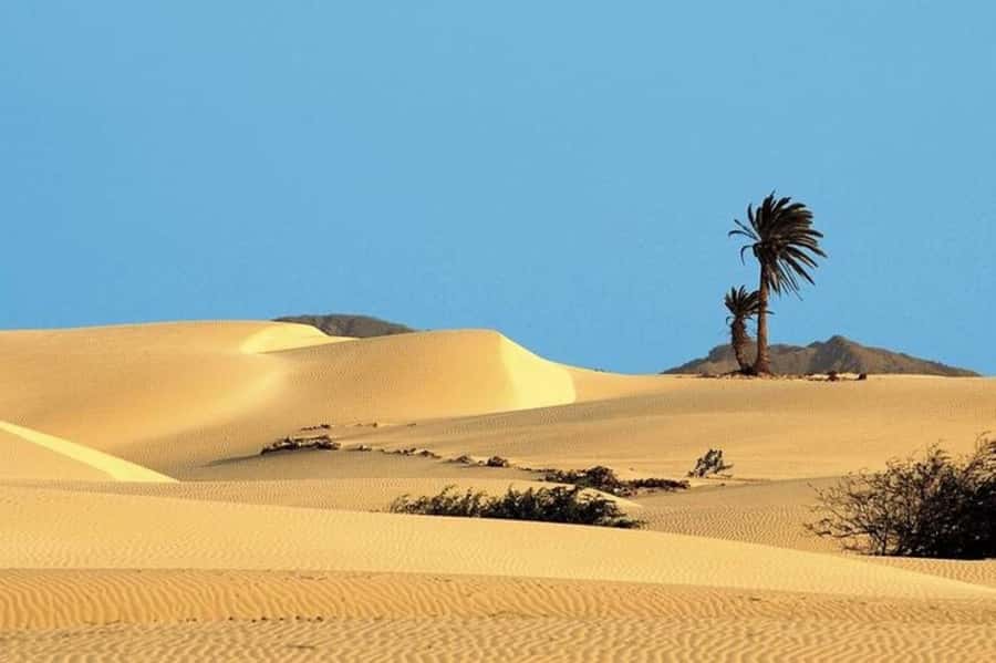 Sal Rei, Santa Monica Beach, Caves, Dunes & Shipwreck Tour - Santa Monica Beach is the emotional high point
