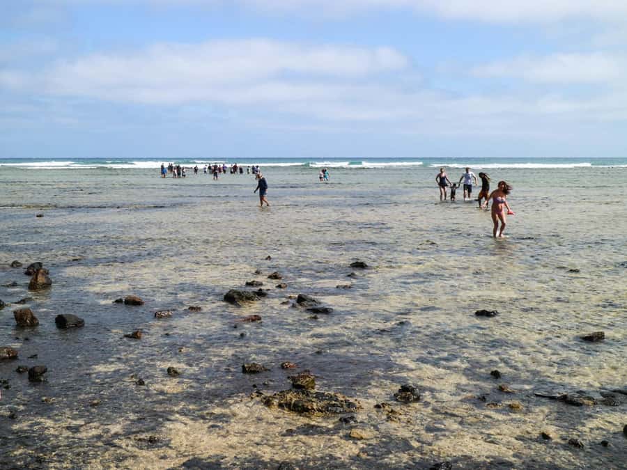 Salt Pans & Lemon Sharks Experience - The salt pans at Pedra de Lume