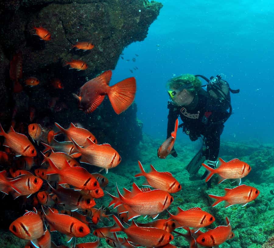 Santa Maria: Discover Scuba Diving - A gentle first step below Santa Maria