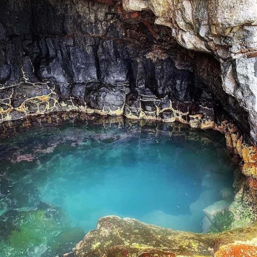 Santa Maria: Salt Mine, Natural Pool, and Shark Bay Tour - Miragem, where the desert seems to bend