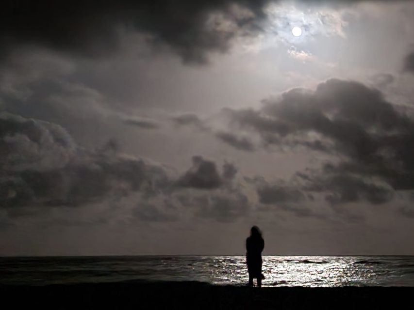 Santa Maria: Sea Turtle Watching Experience on Sal Island - Waiting is part of the experience