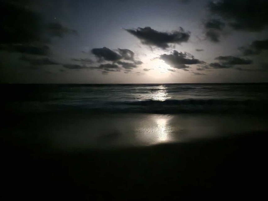 Santa Maria: Sea Turtle Watching Experience on Sal Island - Conservation rules are not a nuisance