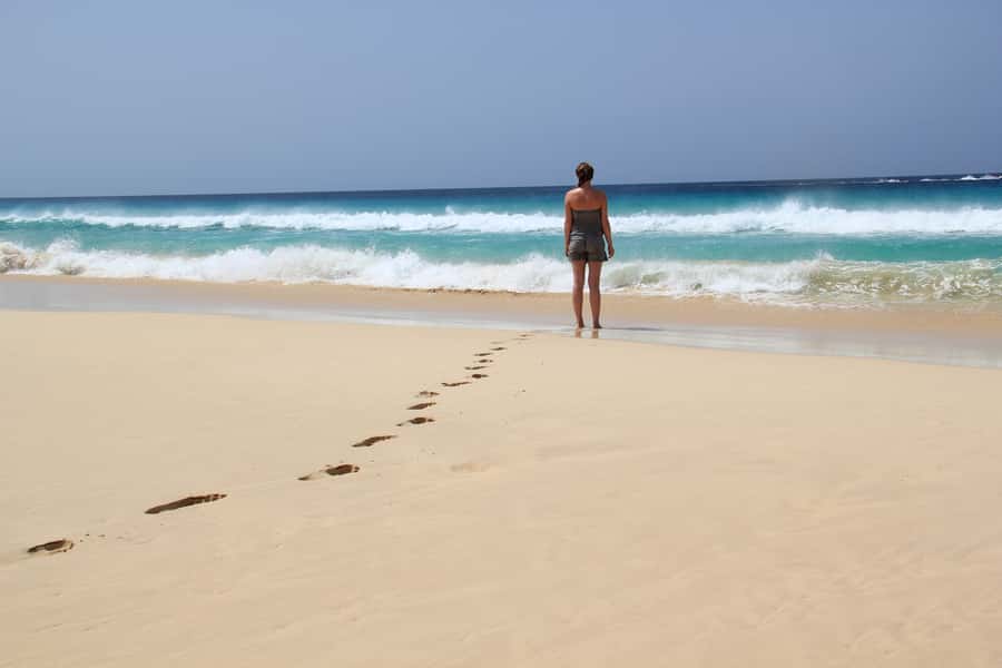Santa Monica Beach Tour - Why this four-hour tour works well