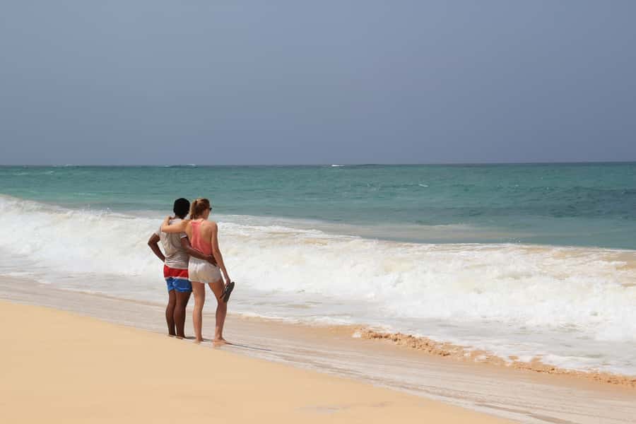 Santa Monica Beach Tour - Turtle Bay and Shark Bay along the coast