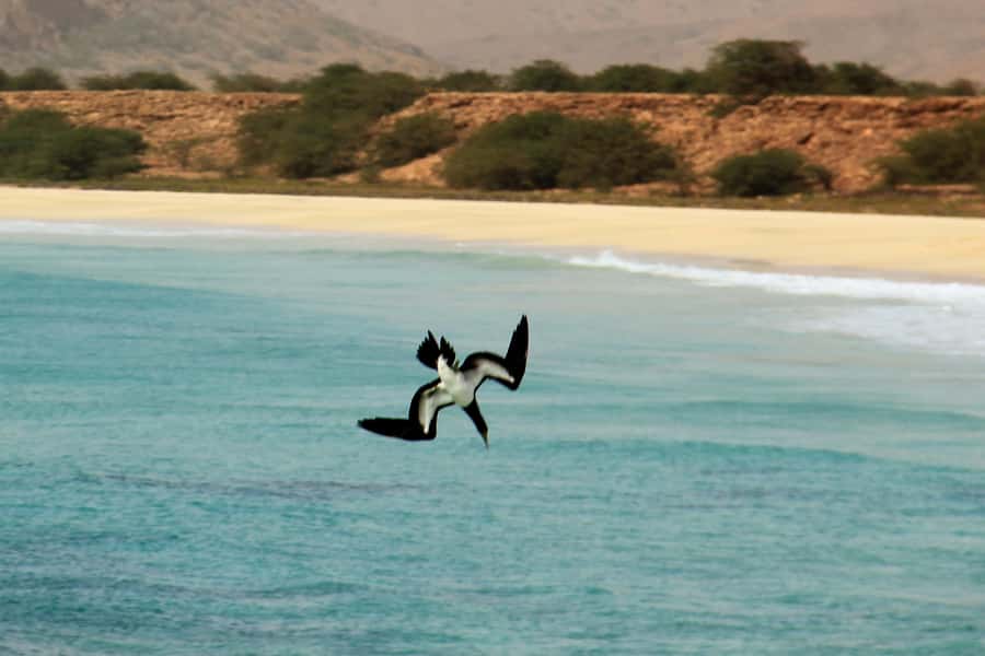 Santa Monica Beach Tour - Praia de Varandinha and its limestone caves