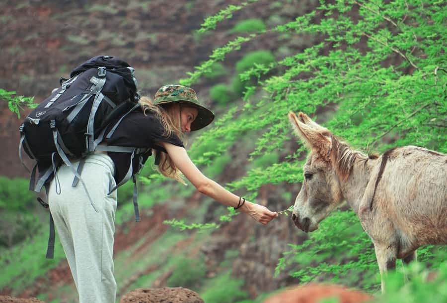 Santiago: Calabaceira Valley Trek & Visit to Cidade Velha - Walking among baobabs and farm fields