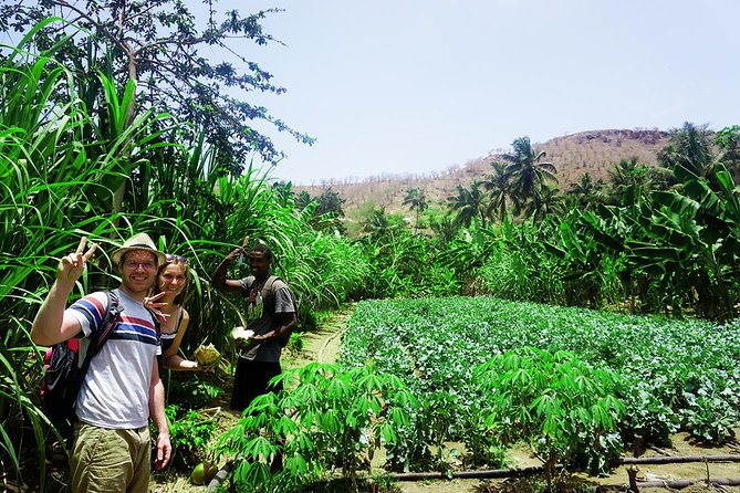 Santiago Island: Banana Plantation, Natural Park & Workshop with a local family - Cooking with a local family in São Lourenço dos Órgãos