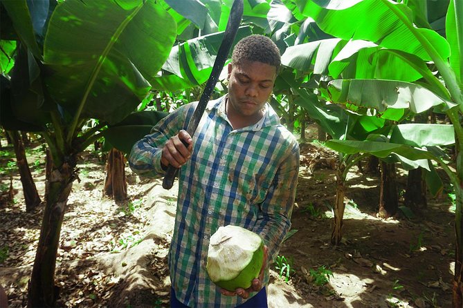 Santiago Island: Banana Plantation, Natural Park & Workshop with a local family - Price, group size, and overall value