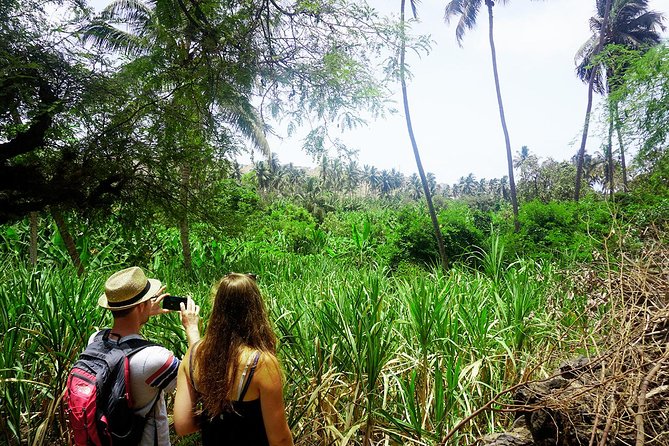 Santiago Island: Banana Plantation, Natural Park & Workshop with a local family - Practical details for a smoother visit